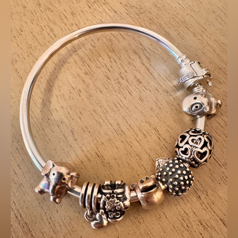 Pandora bangle with 7 charms